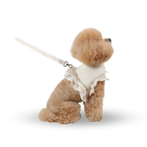 RITOGATO Organic Philly Frill Harness | 寵物蕾絲邊胸背帶 RITOGATO