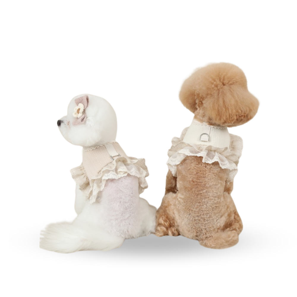 RITOGATO Organic Philly Frill Harness | 寵物蕾絲邊胸背帶 RITOGATO