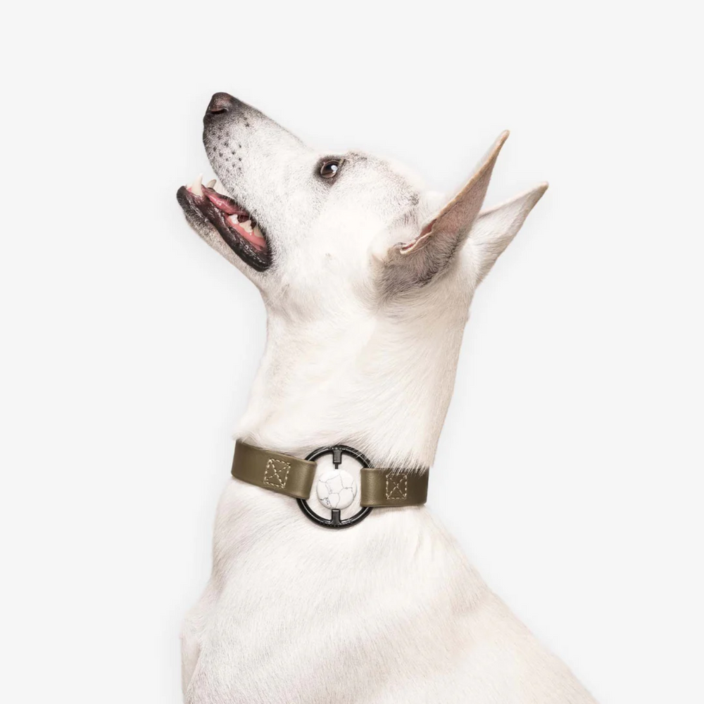 Biothane Collar 豪利特水晶項圈 - Martini Olive(Howlite) MERCI