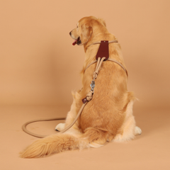 HOZI Essential Harness - Black / Navy / Orange / Mustard / Beige / Burgundy / Pink HOZI