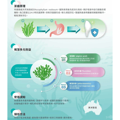 Papai Oral Fresh Dental Powder for Cats - PET