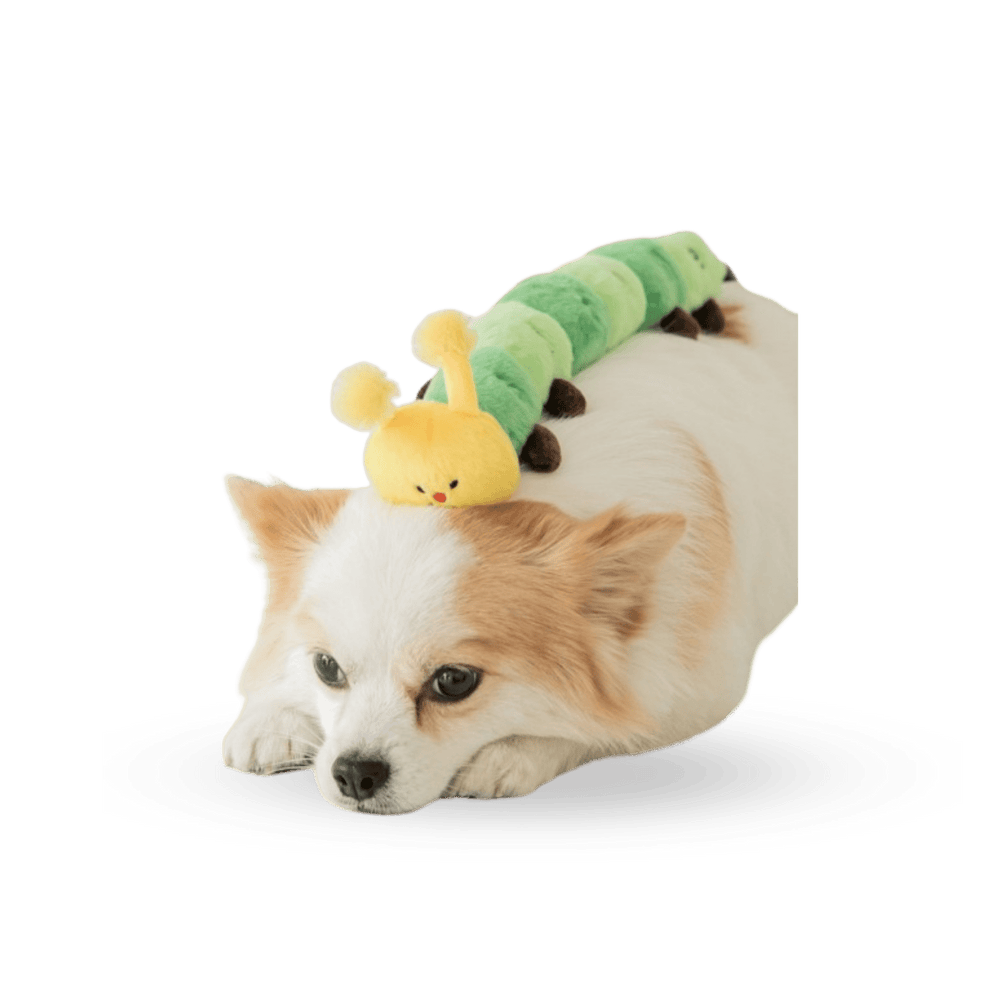 BITE ME Worm Tug Toy - PET