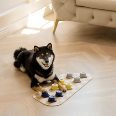 MEWOOFUN喵乎汪也 寵物溝通按鈕 - 灰色 | Dog Talking Button - Grey - PET