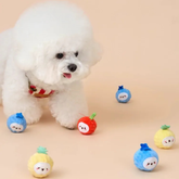 Bichon Frise Cotties Fruit Party toys