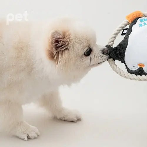 BITE ME Hug Me Rope Tug Toy - Penguin - PET