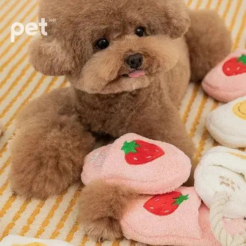 BITE ME Slipper Tug Toys - PET