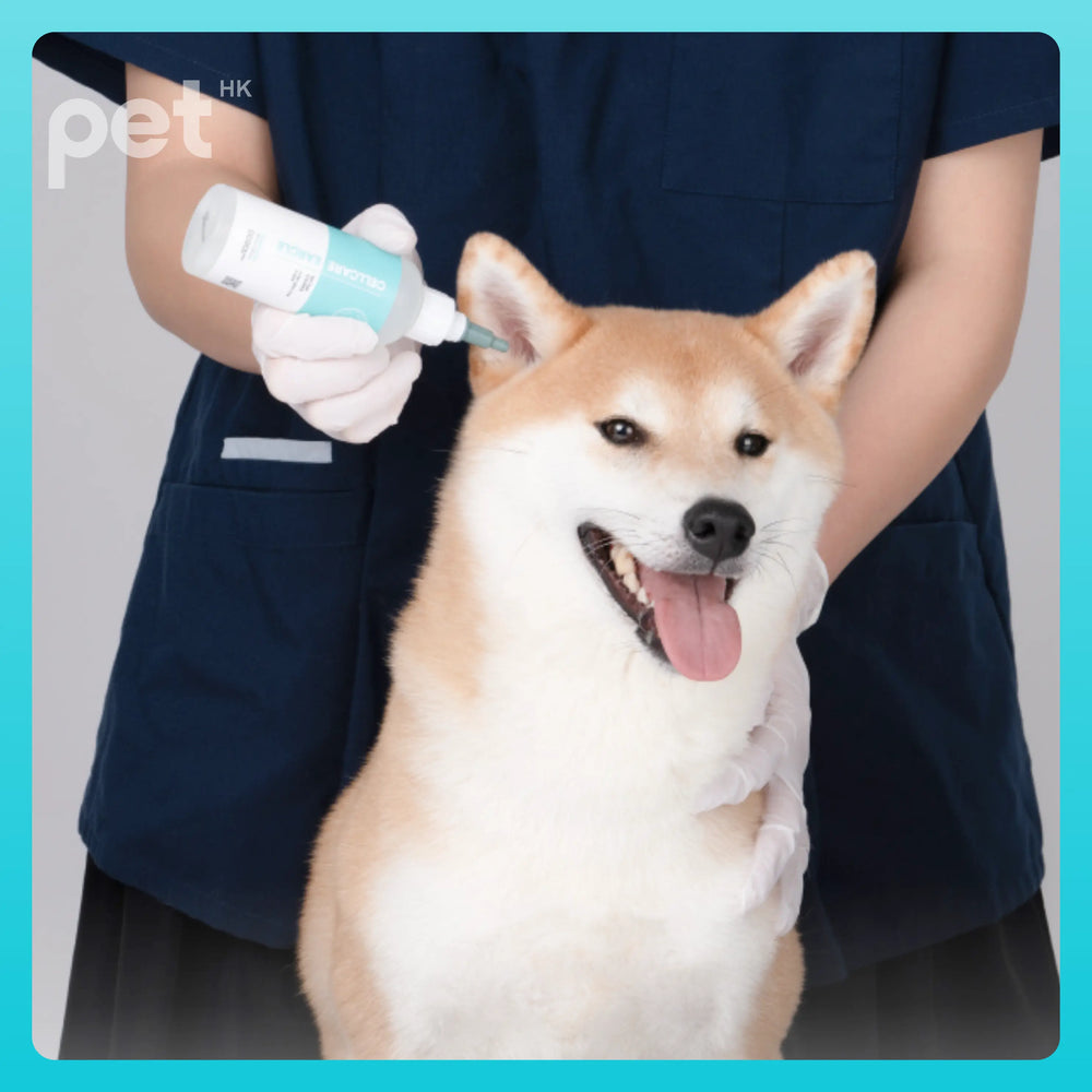 Doocamedi Cellcare Earcle: Premium Stem Cell Anti-Inflammatory Ear Cleaner for Pets DOOCAMEDI