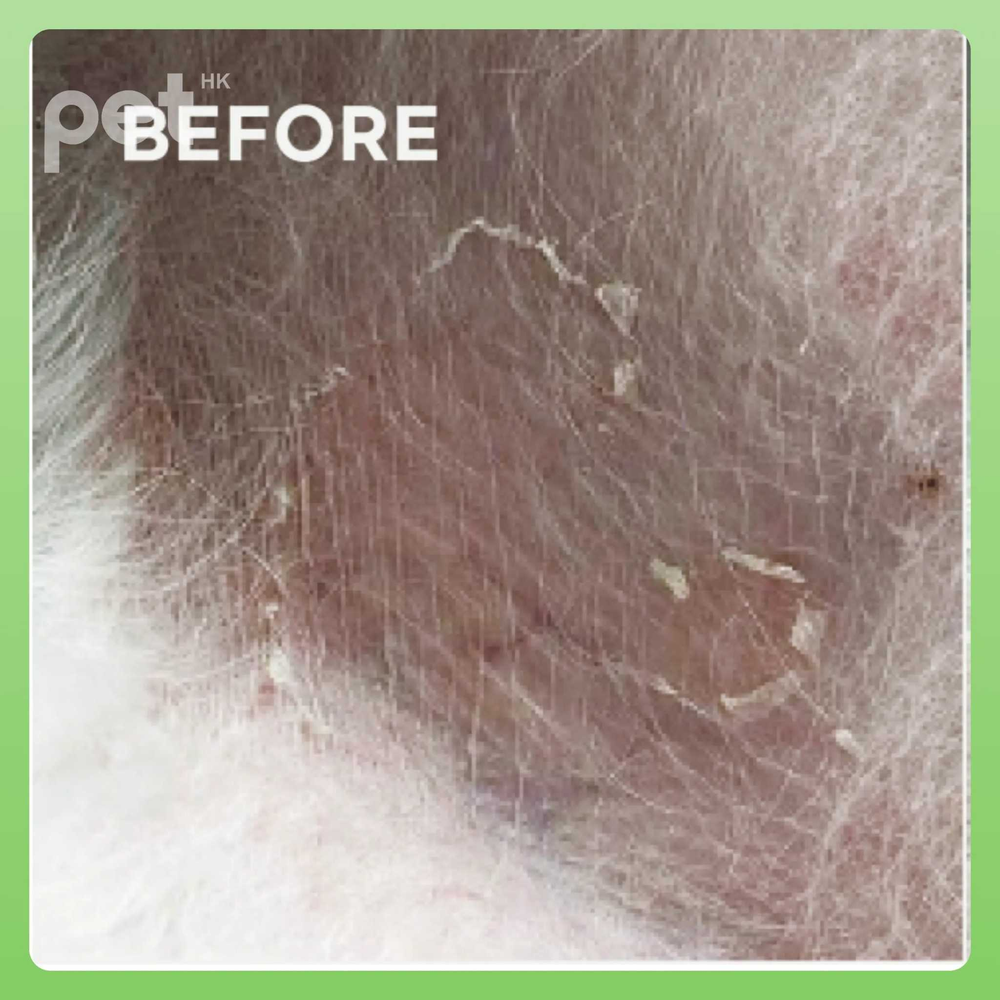 Doocamedi Cellcare Mist pet skin before treatment dry irritated area close-up