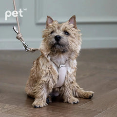 Essential Harness - Beige HOZI