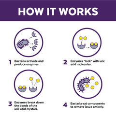 Urine Off Dog & Puppy Formula Refill