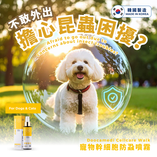 Are Your Pets Afraid to Go Out Due to Insect Concerns? PET