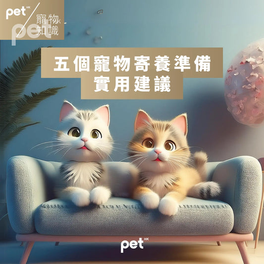 貓酒店的秘密：讓您的愛貓享受奢華假期 - PET