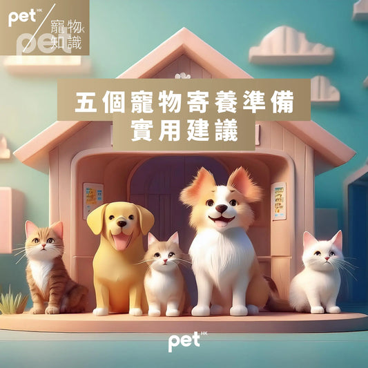 如何為您的寵物寄養準備？五個實用建議 - PET