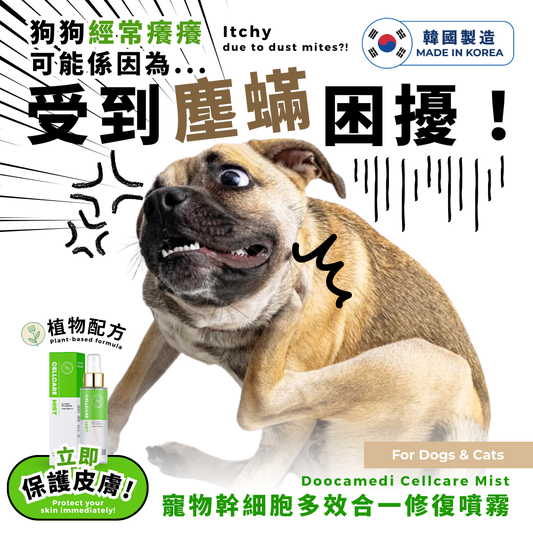 Doocamedi Cellcare Mist - Pet Repair Spray Recommendation PET