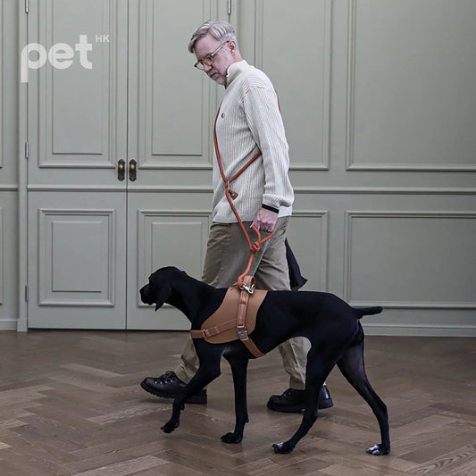 Pet Harness Selection - A Comprehensive Guide to Choosing the Right Harness for Your Furry Friend, Ensuring Safety and Comfort. - PET