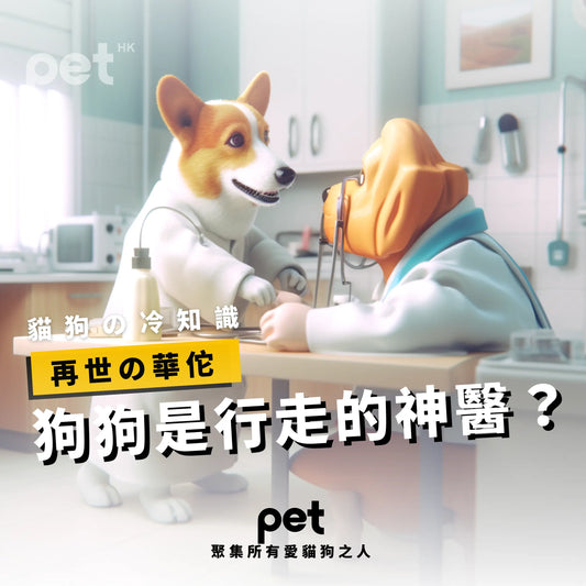 狗狗是行走的神醫？ - PET