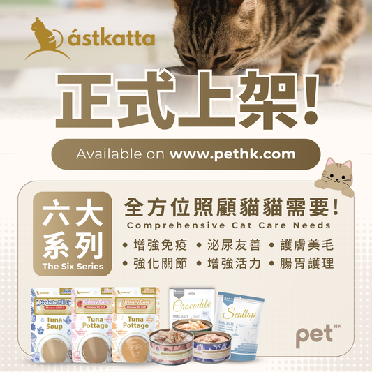 Introducing Astkatta: Comprehensive Cat Care Solutions PET