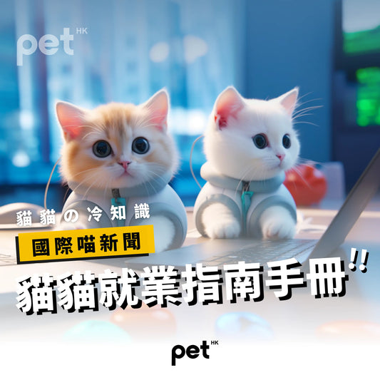 國際喵新聞 - 貓貓就業指南手冊 - PET