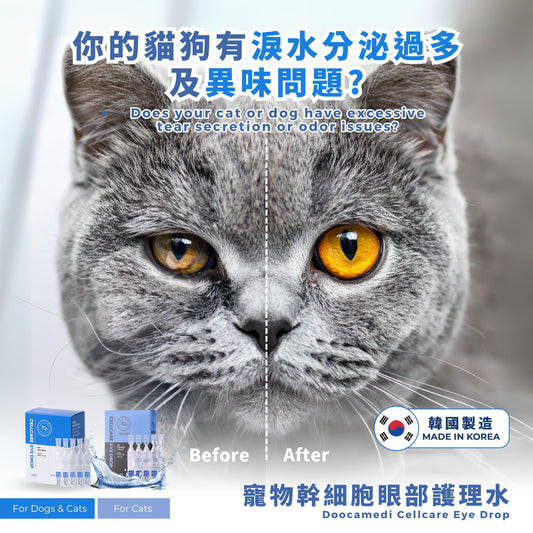 Doocamedi眼藥水：必備貓用眼藥水，守護貓眼健康的寵物保健品 - PET
