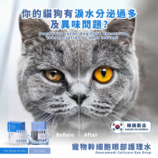 Does Your Cat or Dog Have Excessive Tear Production or Odor Issues? PET