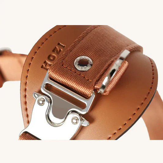 Pet Harness Guide: Choosing the Right One for Safety and Comfort PET