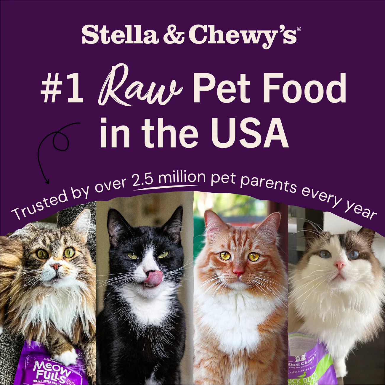 Stella & Chewy's Marie's Magical Dinner Dust (Cats) - Cage-Free Chicken Recipe 放養雞配方 Stella & Chewy's