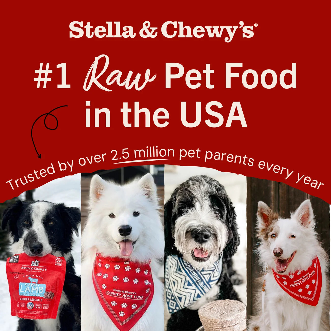 Stella & Chewy's Marie's Magical Dinner Dust (Dogs) - Cage-Free Chicken Recipe 放養雞配方 Stella & Chewy's
