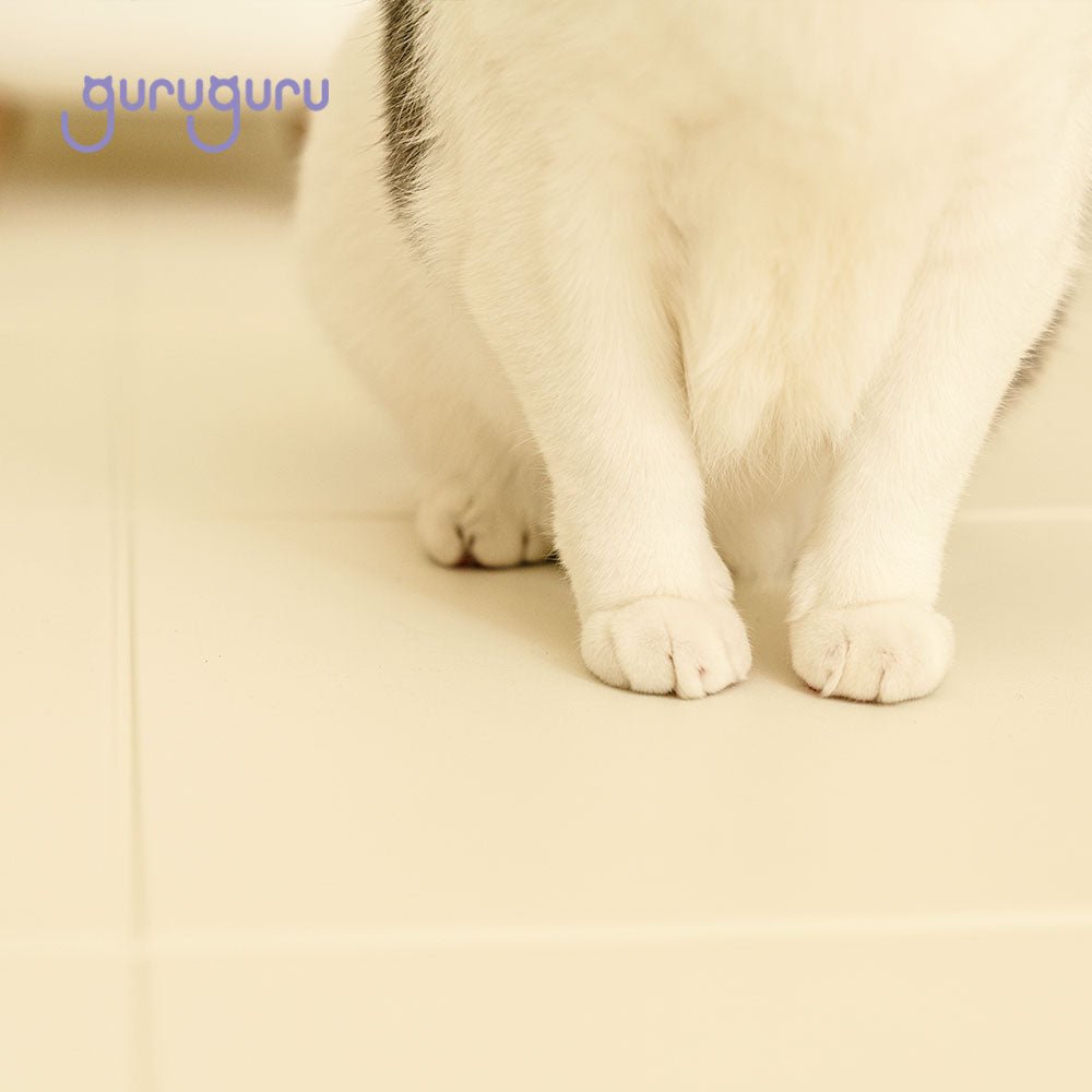 Slim Fit Pet Mat Folding Type - Guruguru - PET