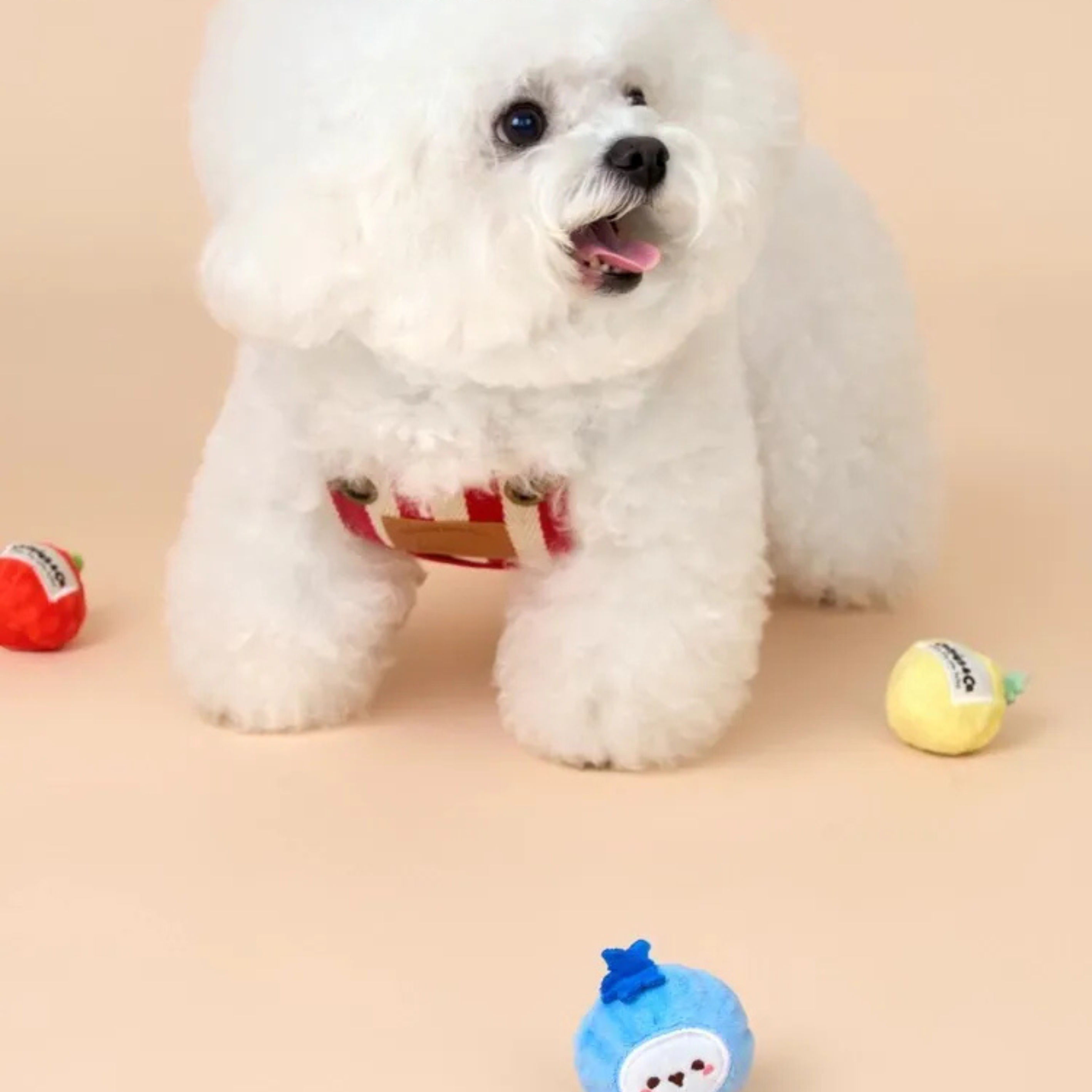 Bichon Frise Cotties Fruit Party toys PET