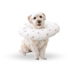 RITOGATO Pet Collar Organic Cushion Neck Collar for Pets