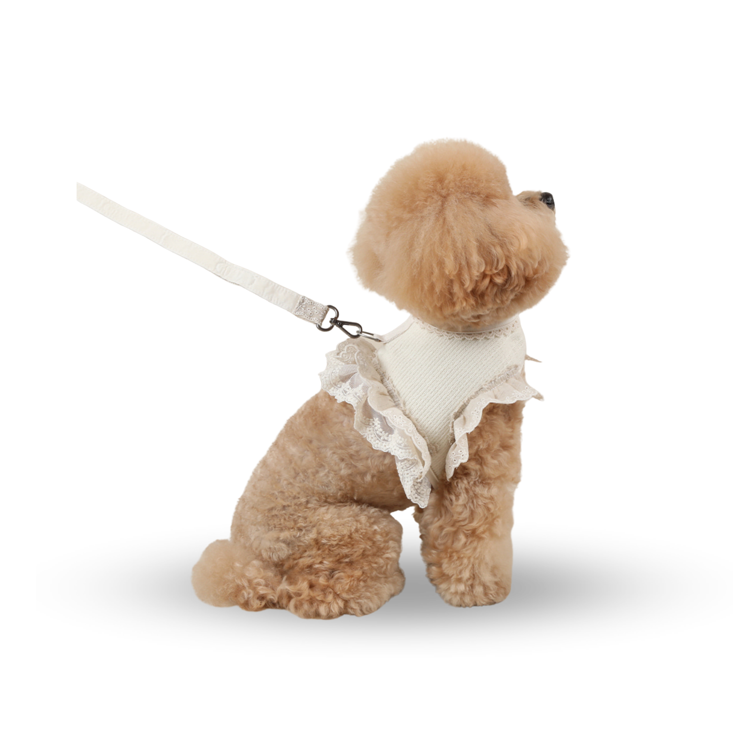 RITOGATO Organic Philly Frill Harness  | 寵物蕾絲邊牽引繩