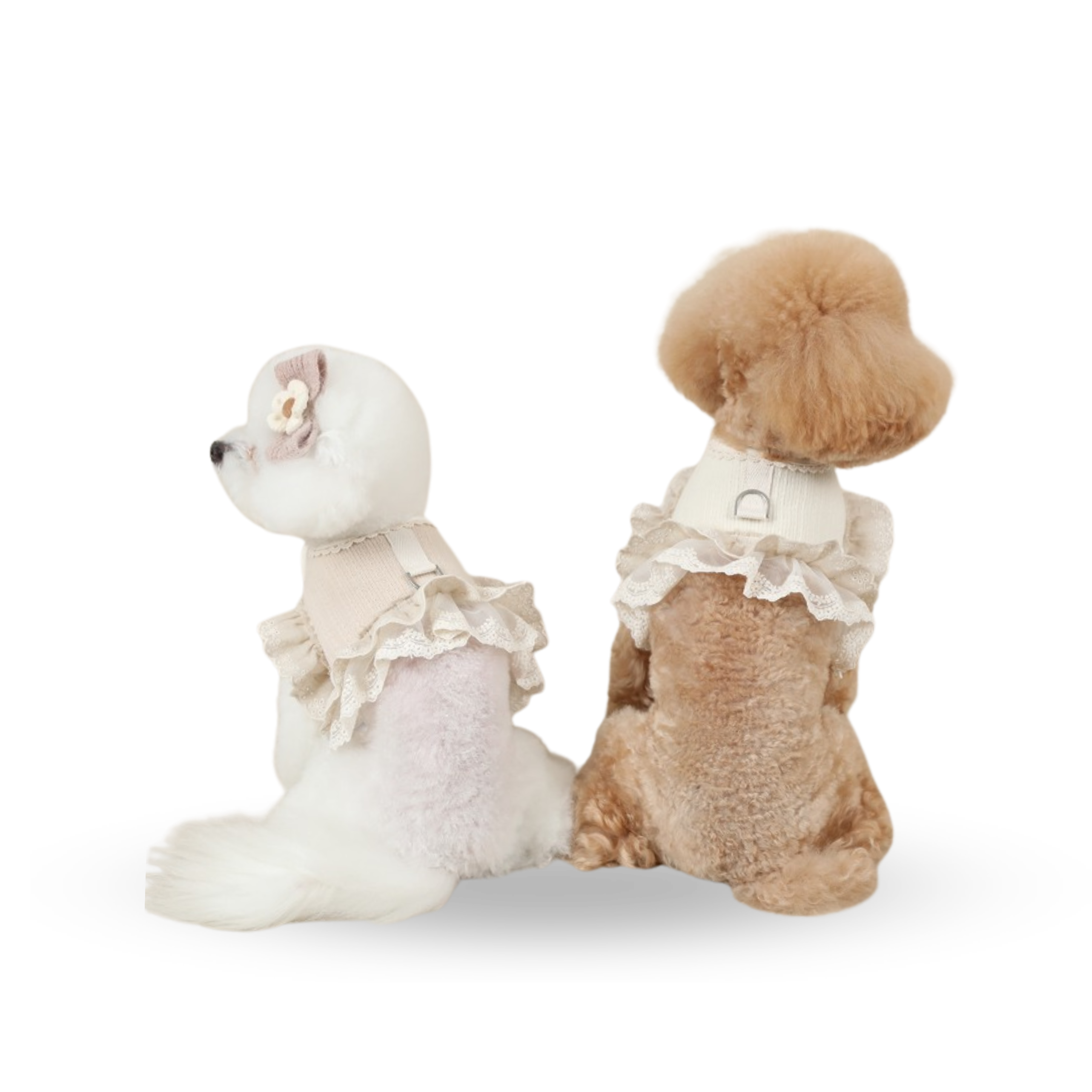 RITOGATO Organic Philly Frill Harness  | 寵物蕾絲邊牽引繩