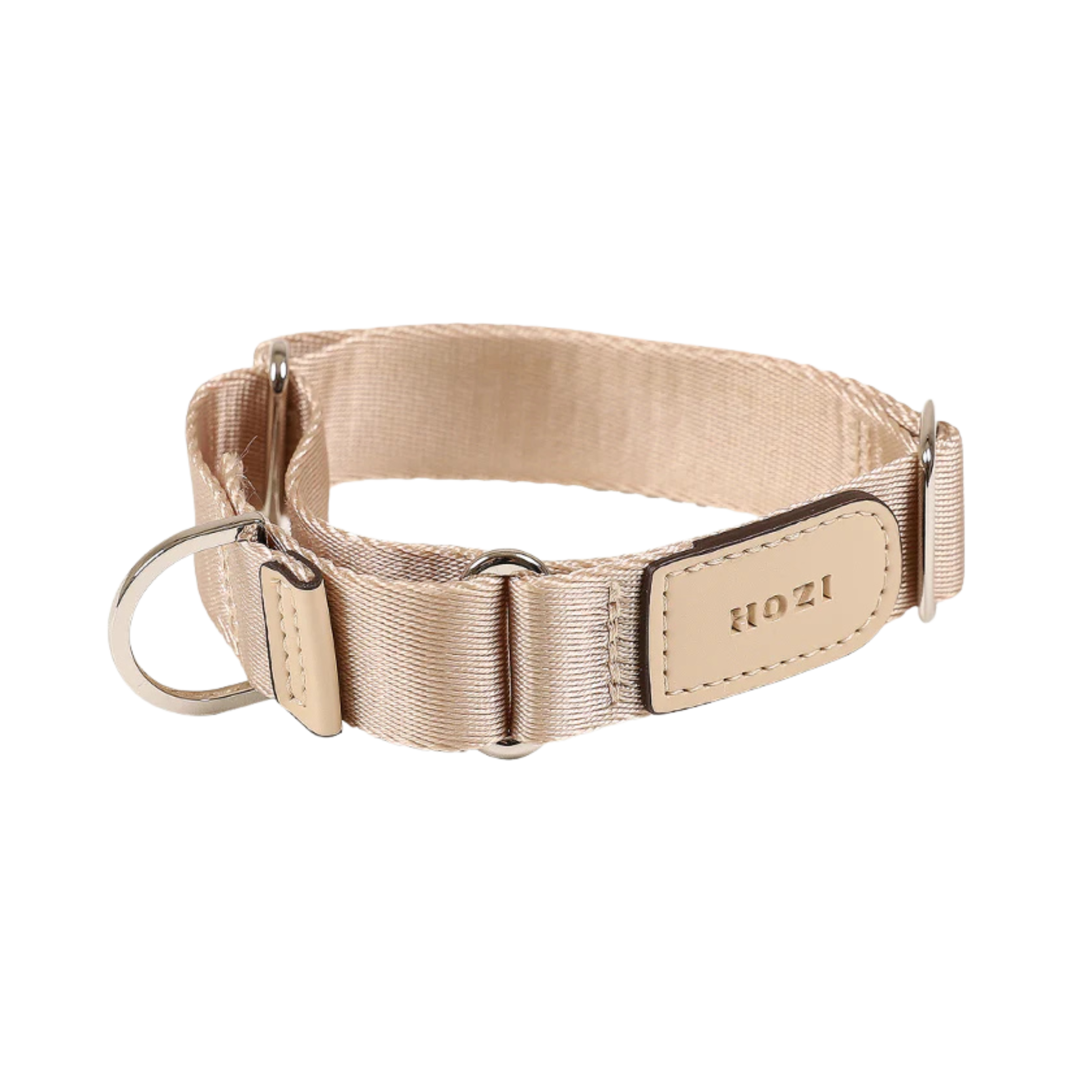 HOZI Collar Martingale