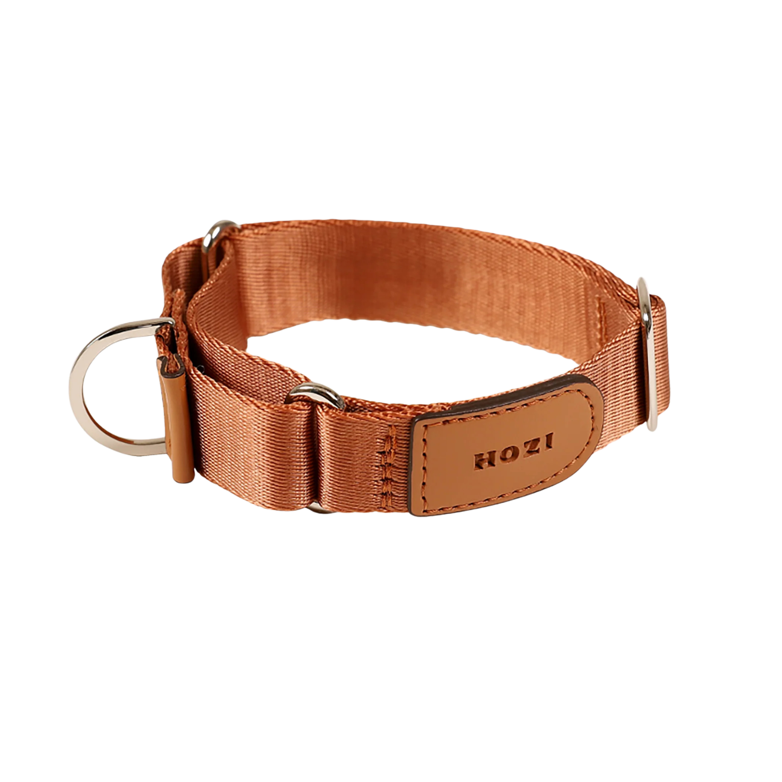 HOZI Collar Martingale
