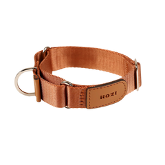 HOZI Collar Martingale