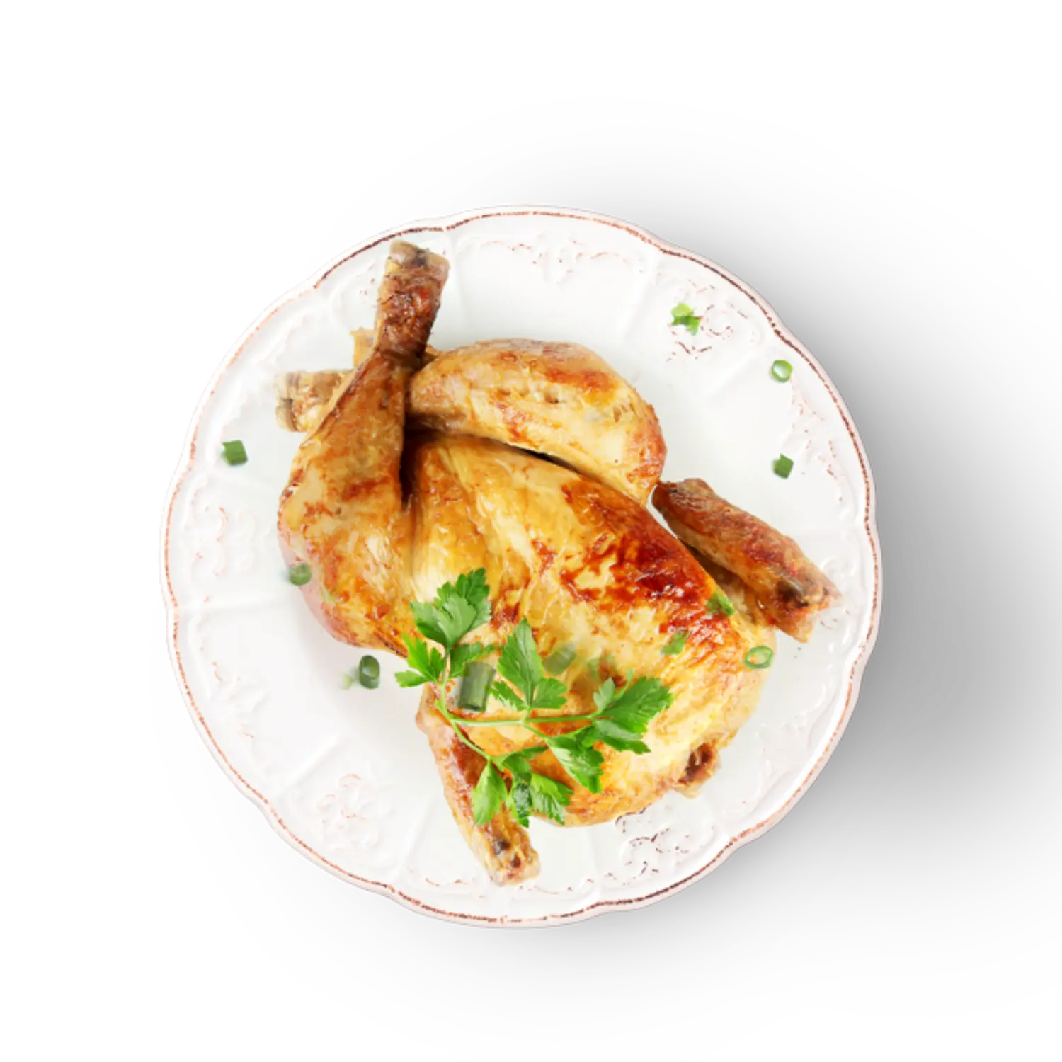 Oven-Baked Tradition Small Breed Adult Grain Free Chicken – Premium Grain-Free Small Bite Dog Food (5lb / 12.5lb)