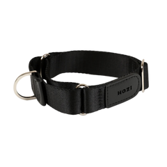HOZI Collar Martingale