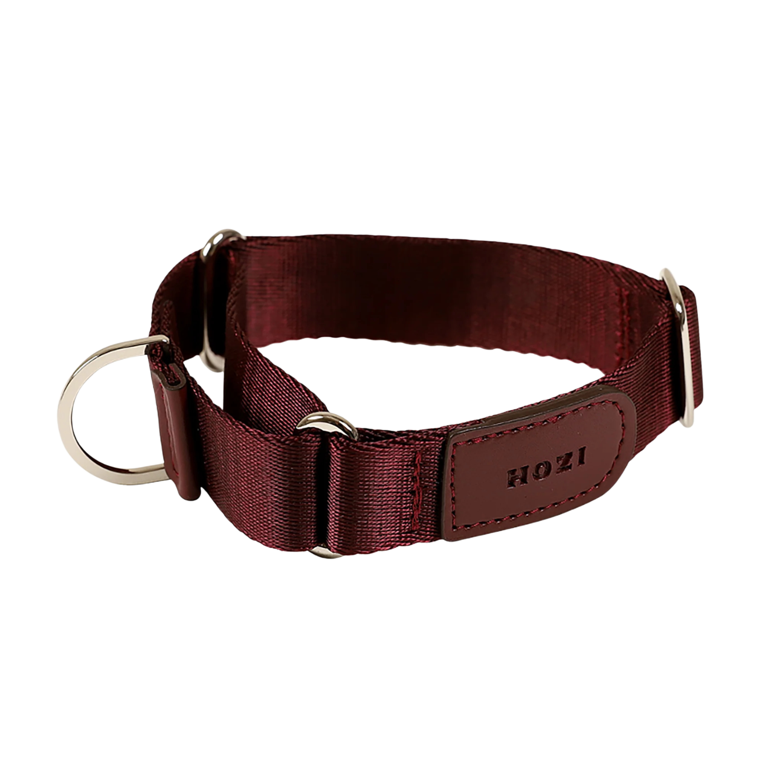HOZI Collar Martingale