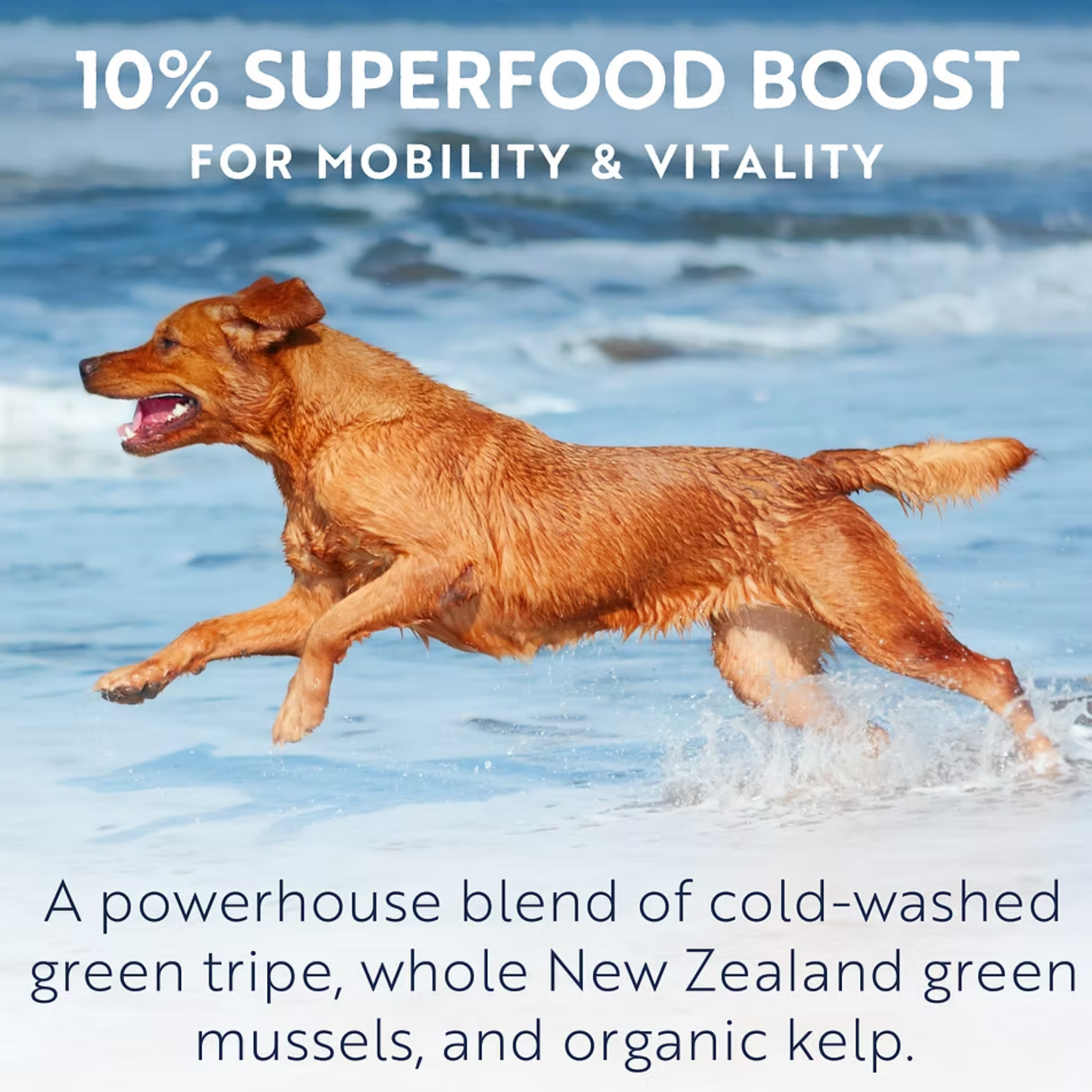 ZIWI Air-Dried Venison For Dogs | 風乾狗糧-鹿肉配方 Ziwi