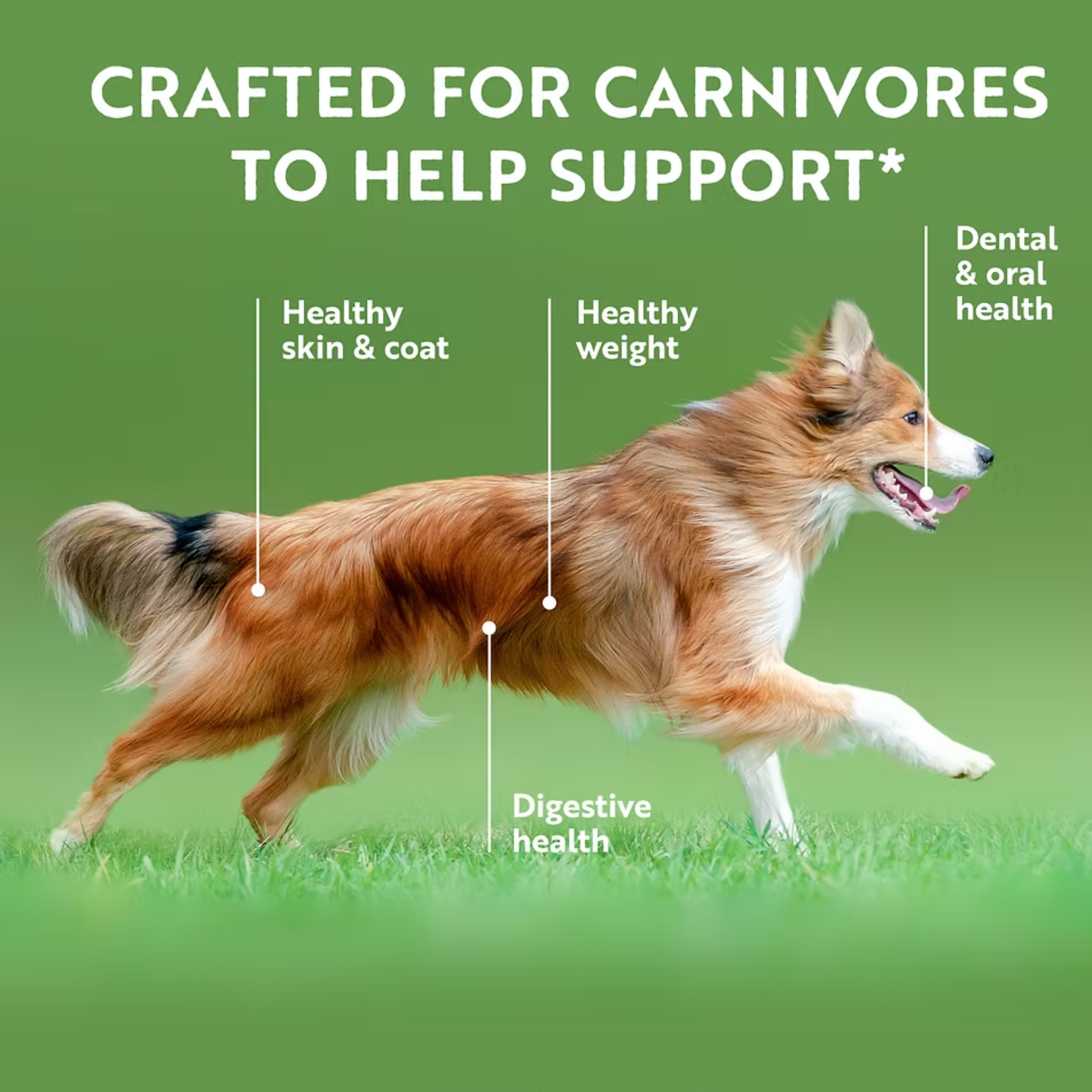 ZIWI Air-Dried Venison For Dogs | 風乾狗糧-鹿肉配方 Ziwi