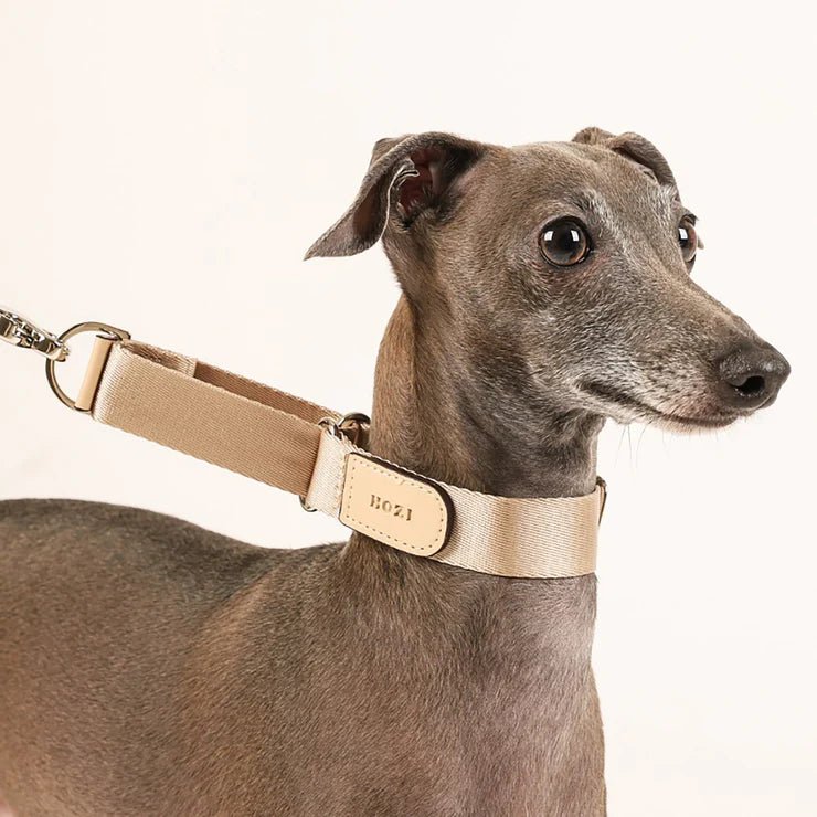 HOZI Collar Martingale - PET