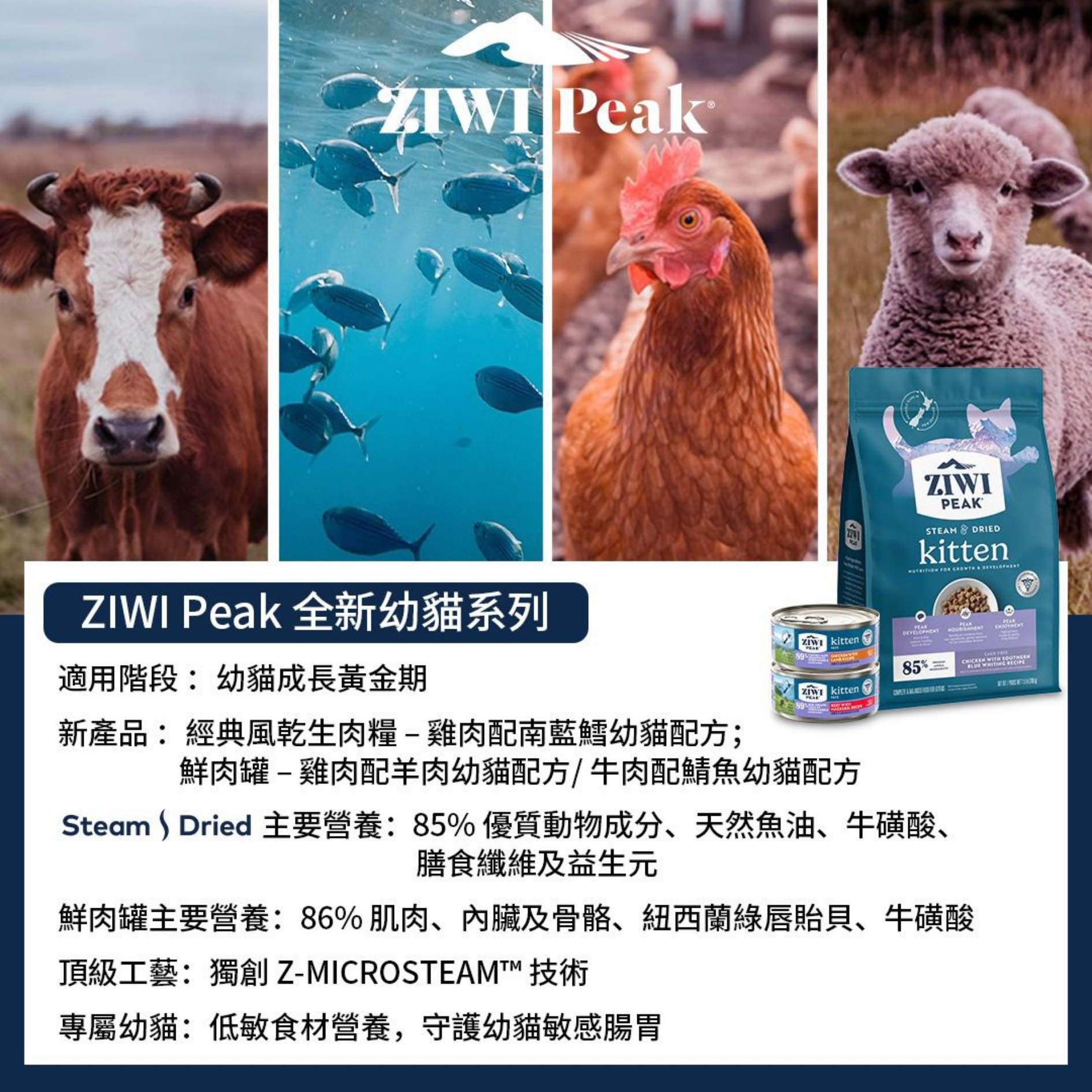 ZIWI Wet Beef With Mackerel Recipe For Kittens | 牛肉配鯖魚幼貓配方 Ziwi