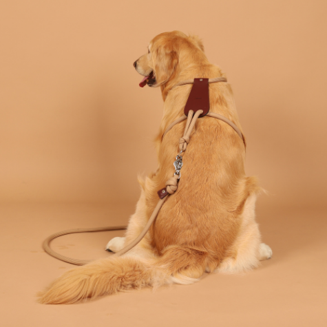 HOZI Essential Harness - Black / Navy / Orange / Mustard / Beige / Burgundy / Pink