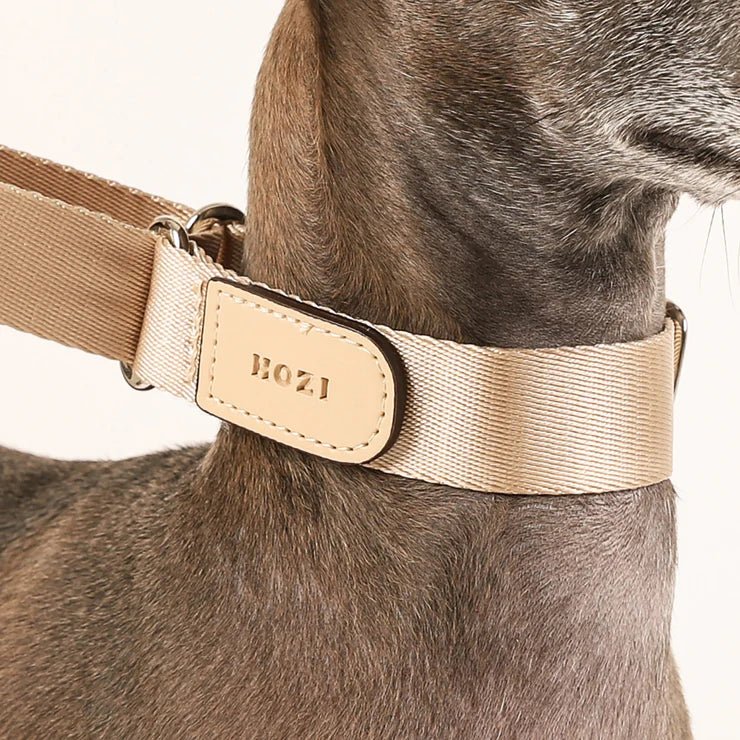 HOZI Collar Martingale - PET
