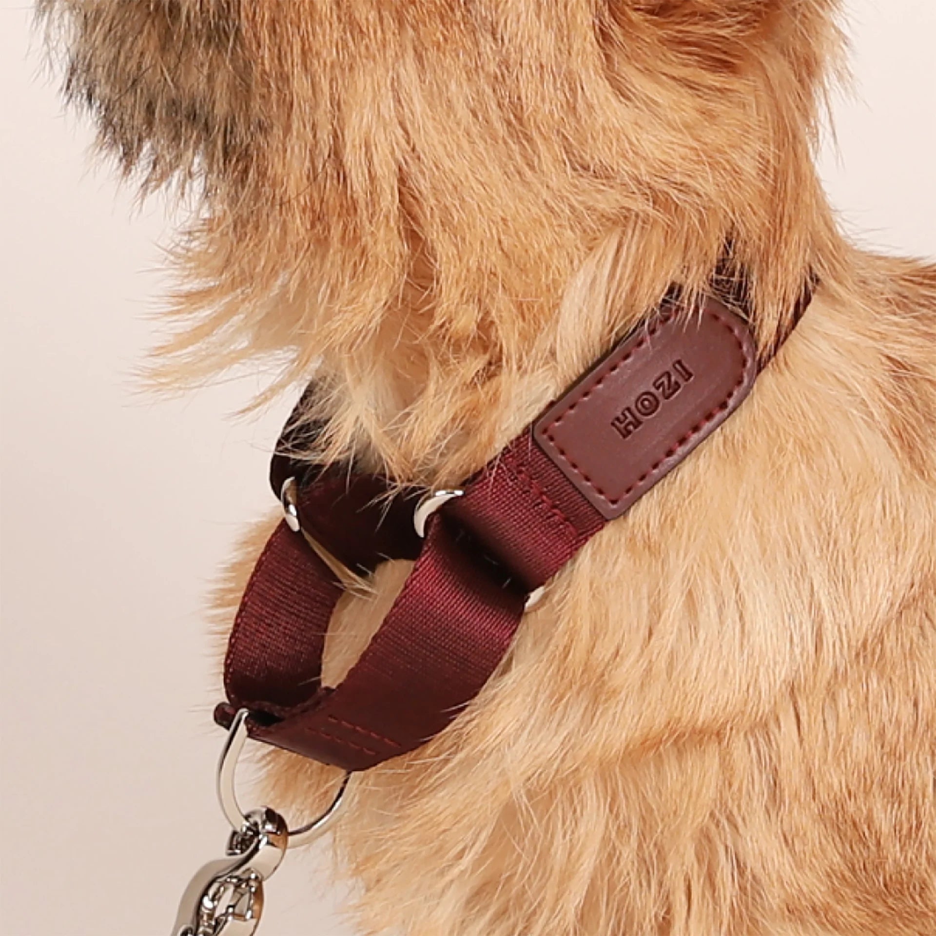 HOZI Collar Martingale