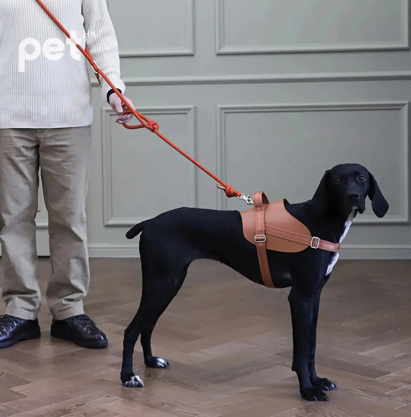 3way Hands Free Leash - Orange HOZI