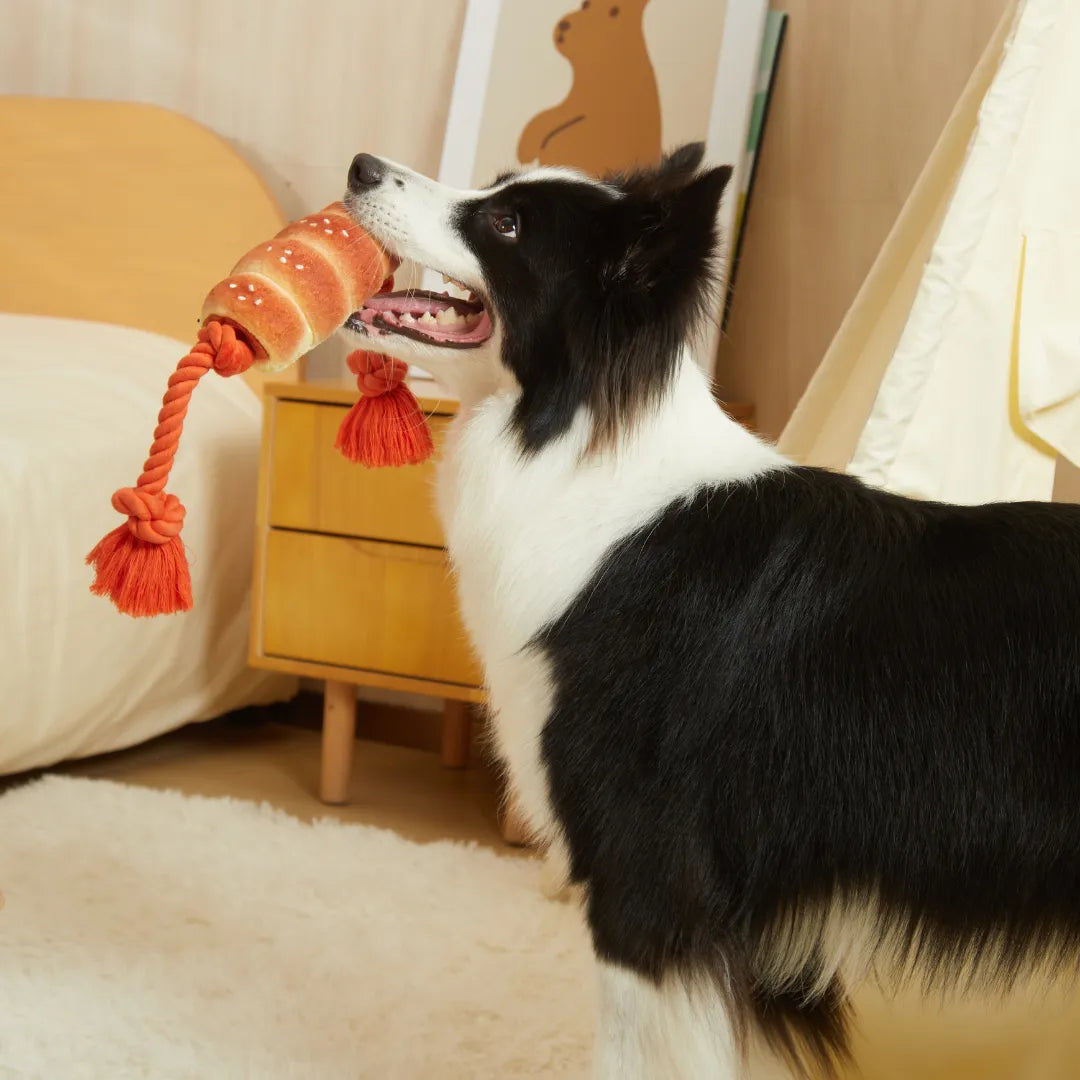 PP Lab - Sausage Bun Tug Toy (Small/Large) | 腸仔包拉扯玩具 (小/大) Bite Me