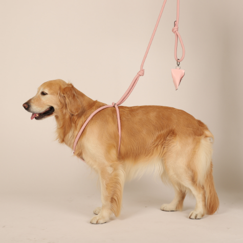 HOZI All-In-One Harness - Black / Navy / Beige / Mustard / Orange / Burgundy / Pink