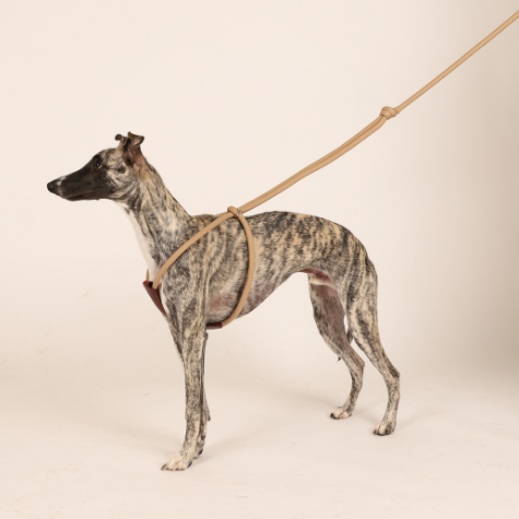 HOZI All-In-One Harness - Black / Navy / Beige / Mustard / Orange / Burgundy / Pink