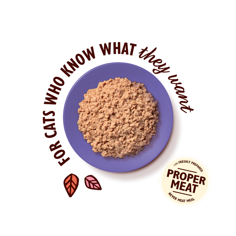 LILY’S KITCHEN Chicken Paté for Mature Cats | 成熟貓雞肉肉醬 LILY’S KITCHEN